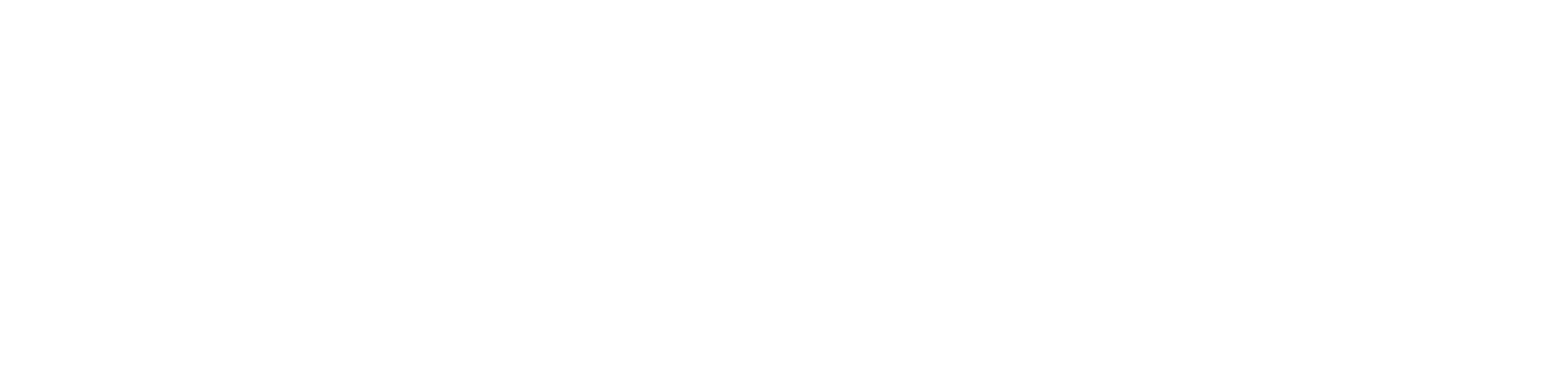X Strategies
